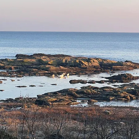 Σπίτι διακοπών Old Fishermans House At Listed Harbor Svaneke